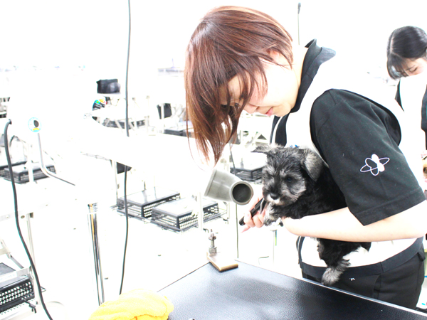 夜間部新2年生、子犬のお手入れ☆☆